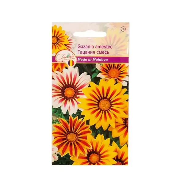 Seminte flori Gazania amestec, 0.05g