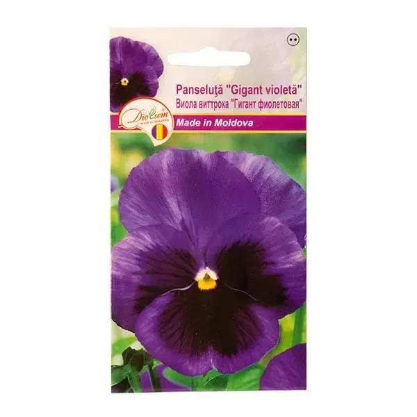 Seminte flori panseluta Gigant violeta, 0.1g