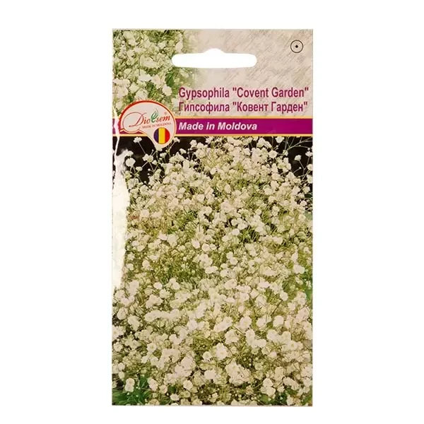 Seminte flori Gypsofila Covent garden, 1g