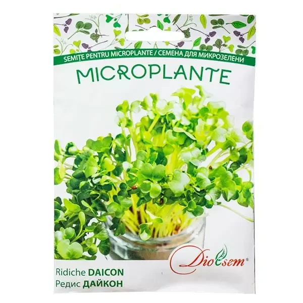 Microplante ridiche Daikon 20g