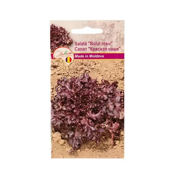 Seminte salata Bolul rosu, 1g