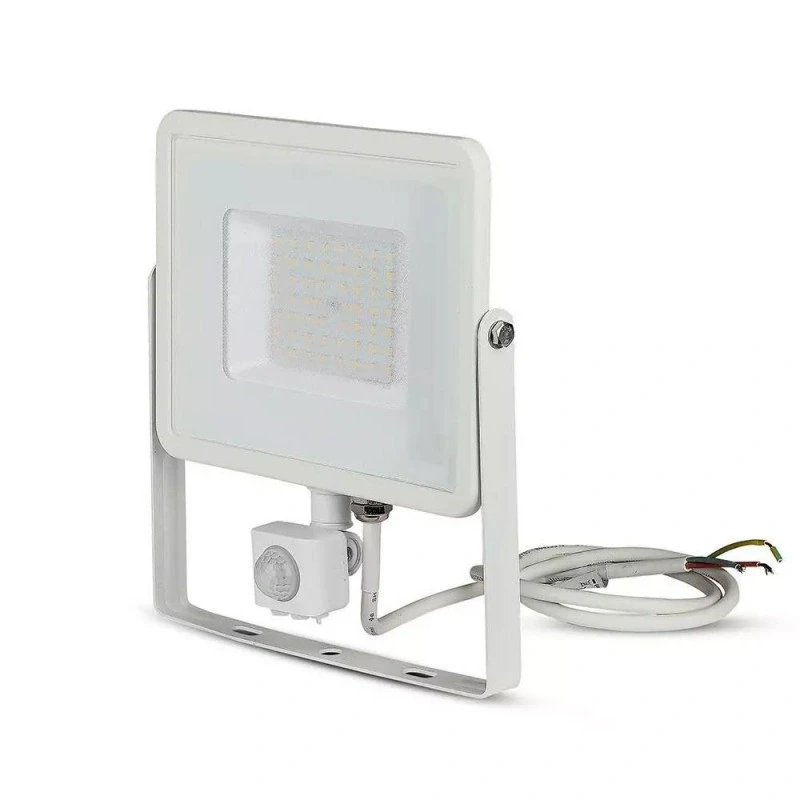 Proiector LuminaLED E008EI 100W 6500K P65