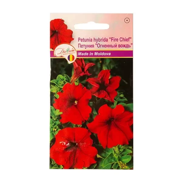 Seminte flori petunia hybrida Fire chief, 0.1g