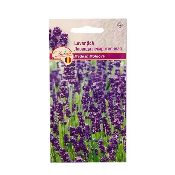 Seminte flori Levantica, 0.1g