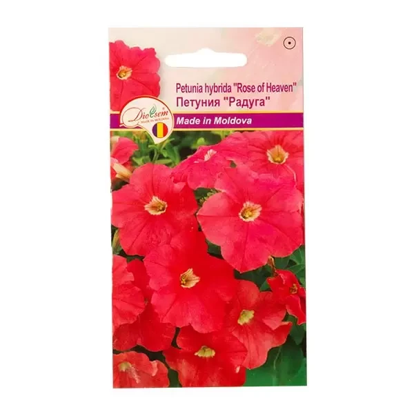 Seminte flori petunia hybrida Rose of heaven, 0.1g