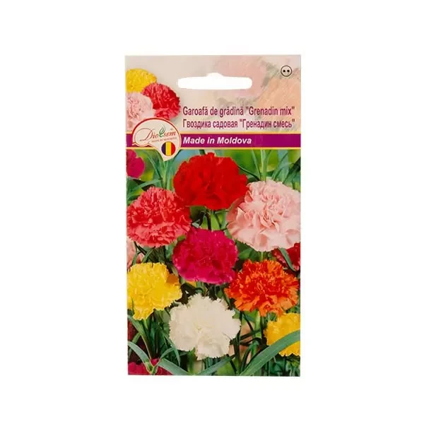 Seminte flori garoafa de gradina Grenadin mix, 0.2g