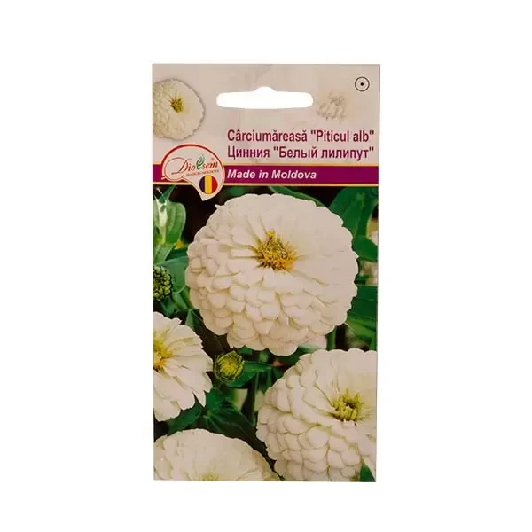 Seminte flori carciumareasa Piticul alb, 0.5g