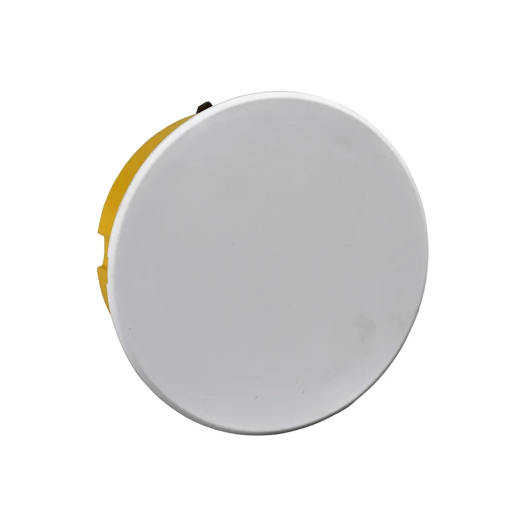 Doză cu capac Schneider-Electric IMT35160 80 x 45 mm plastic