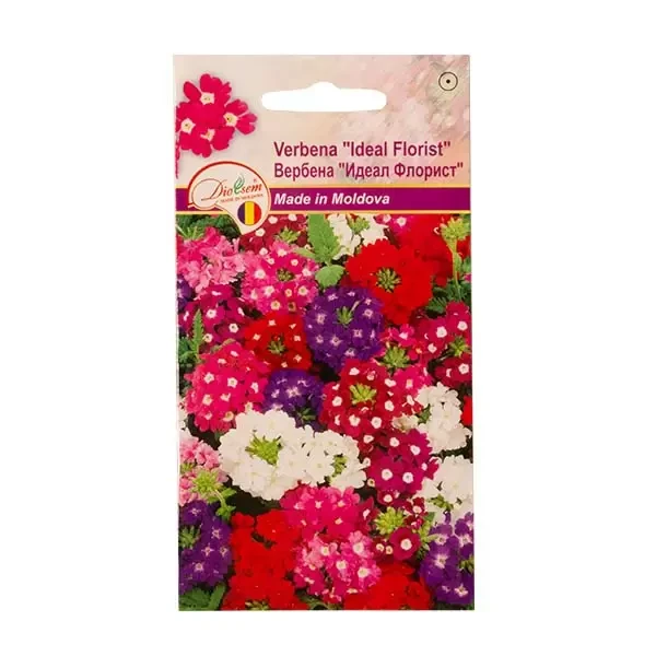Seminte flori verbena Ideal florist, 0.1g