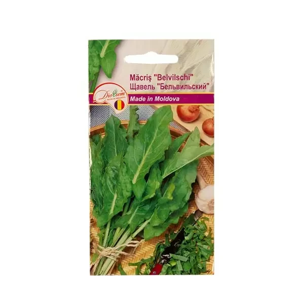 Seminte salat macris Belvilschi, 1g