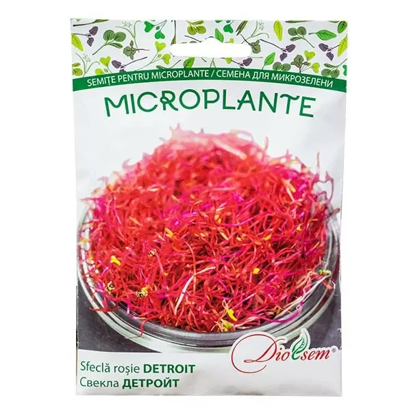 Microplante sfecla rosie Detroit 20g