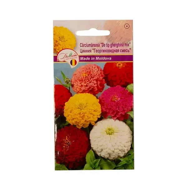 Seminte flori carciumareasa De tip gherghina mix, 0.5g