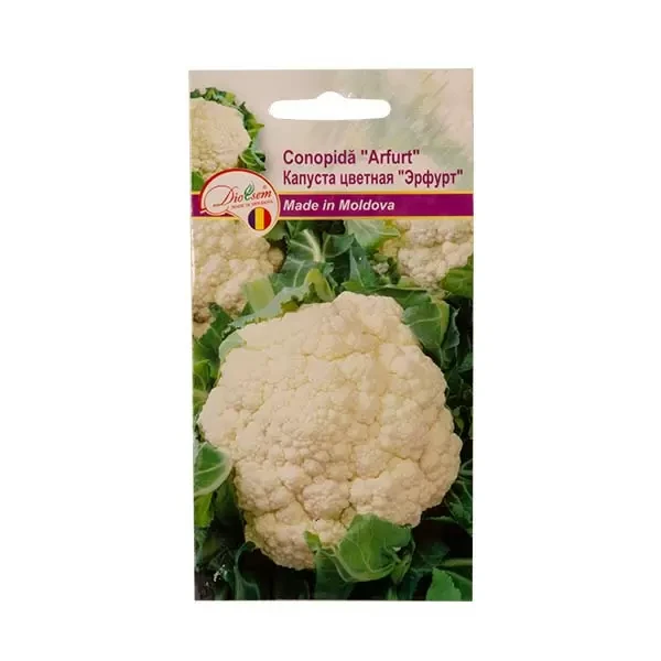 Seminte legume conopida Arfurt, 0.5g