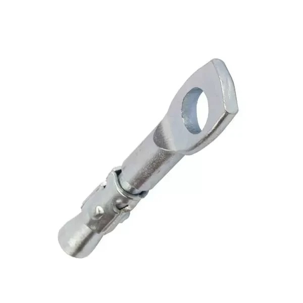 Ancora plafon 6х50 cu ochi