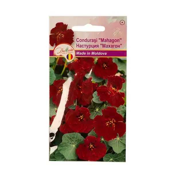 Seminte flori Condurasi mahagon, 1g