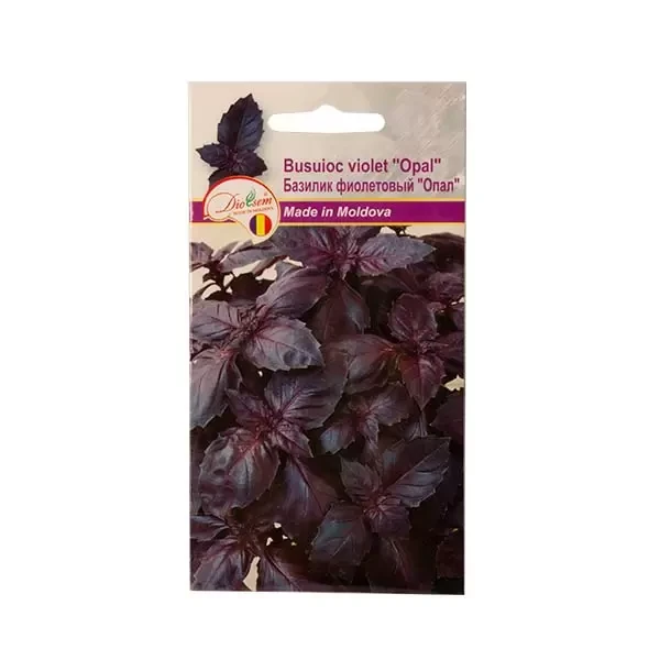 Seminte salat busuioc violet Opal, 0.5g