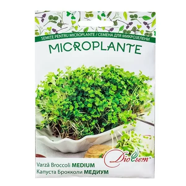 Microplante varza Broccoli medium 20g