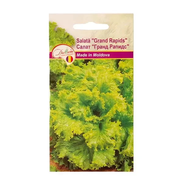 Seminte salata Grand rapids, 1g