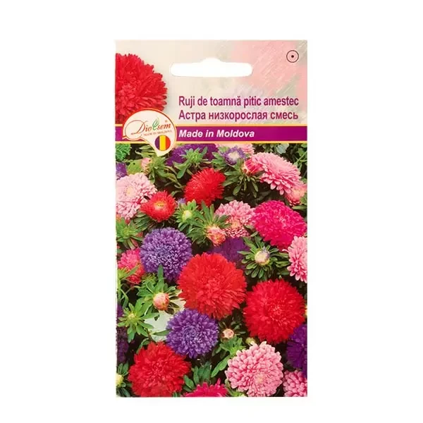 Seminte flori ruji de toamna pitic amestec, 0.2g