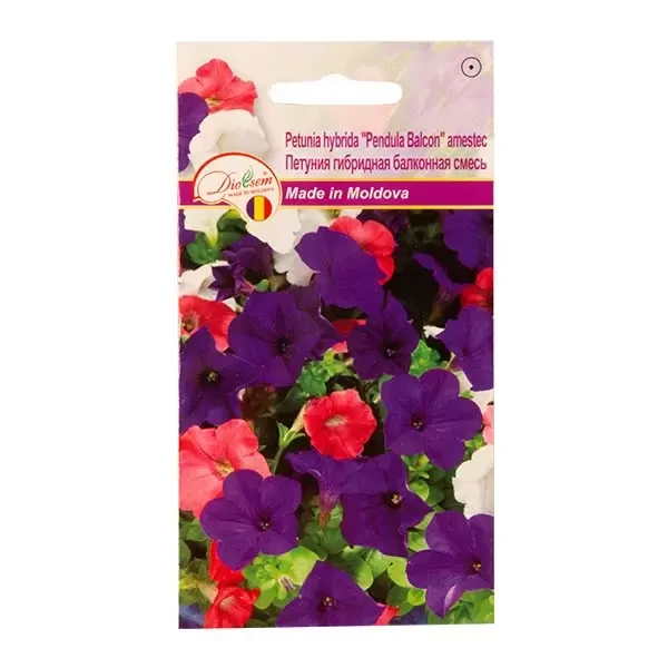Seminte flori petunia hybrida Pendula balcon amestec, 0.1g